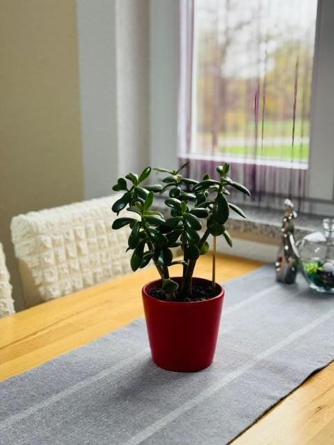 Apartments Paradise Licko Petrovo Selo Zewnętrze zdjęcie