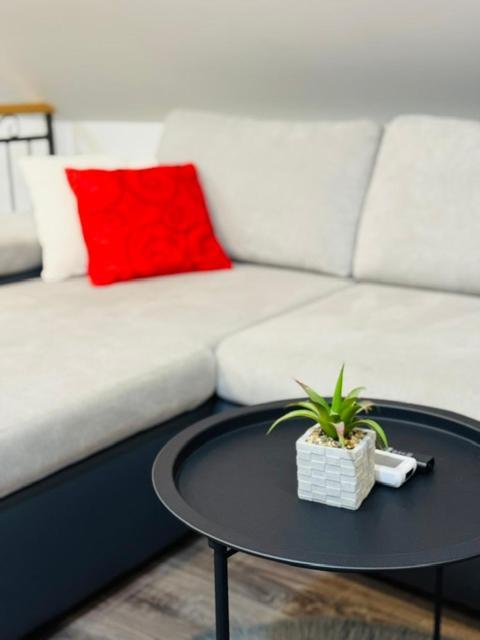 Apartments Paradise Licko Petrovo Selo Zewnętrze zdjęcie